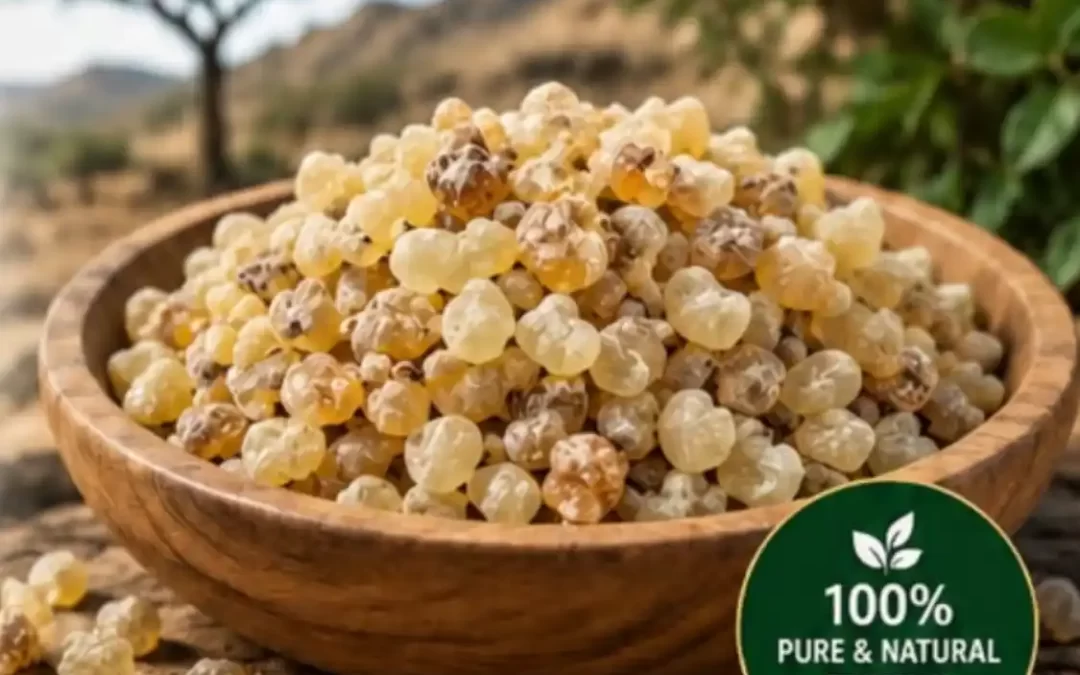 Ethiopian Frankincense (Boswellia Papyrifera): Premium Quality Frank Incense Exporter from Ethiopia